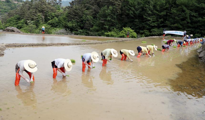 마천 도마 다랑이논 복원사업 선포식 - 9