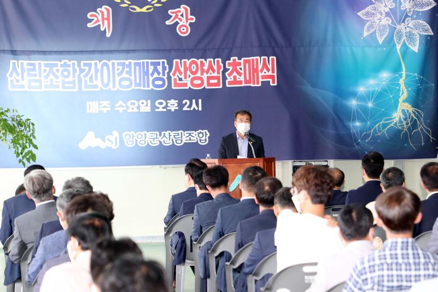 산양삼 간이경매장 개장식 - 2