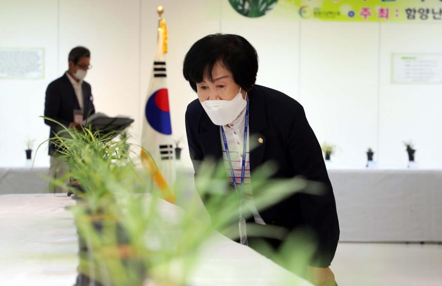물레방아골 함양 난 전시회 - 1