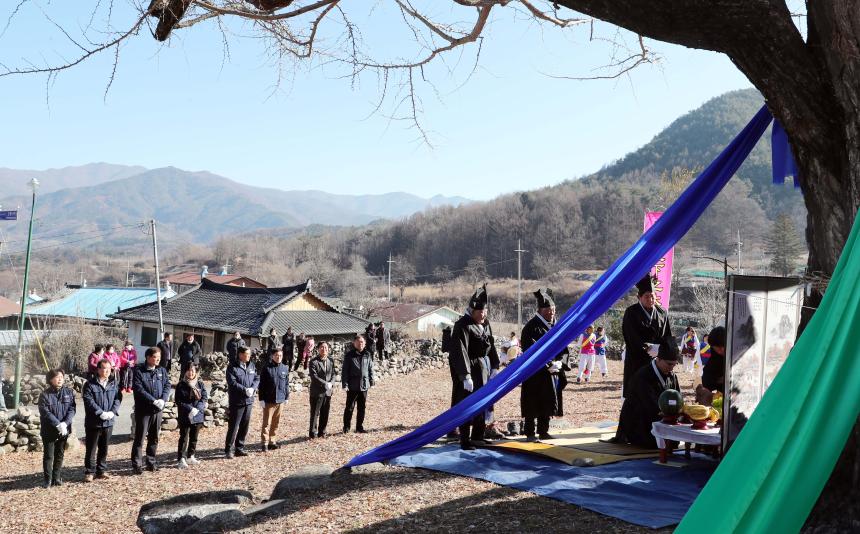 서하 은행나무 고사제 - 1