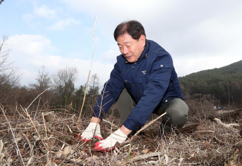 2024년 봄철 나무심기 행사 - 6