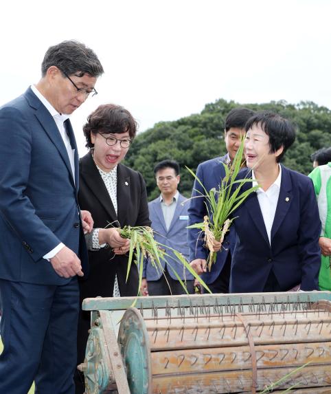 제10회 지리산함양 백전오미자축제 - 2
