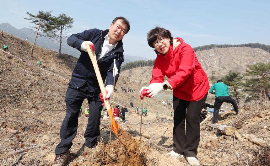 제81회 식목일 나무심기 행사 - 3