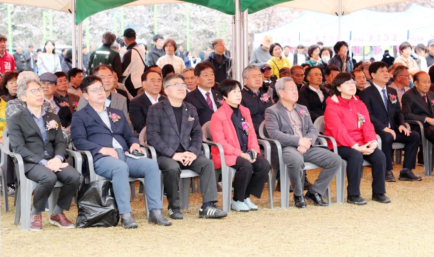 제24회 함양 백운산 벚꽃축제 - 2